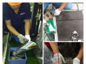 �ݗU�Չ��C�S�o���B(y��ng)